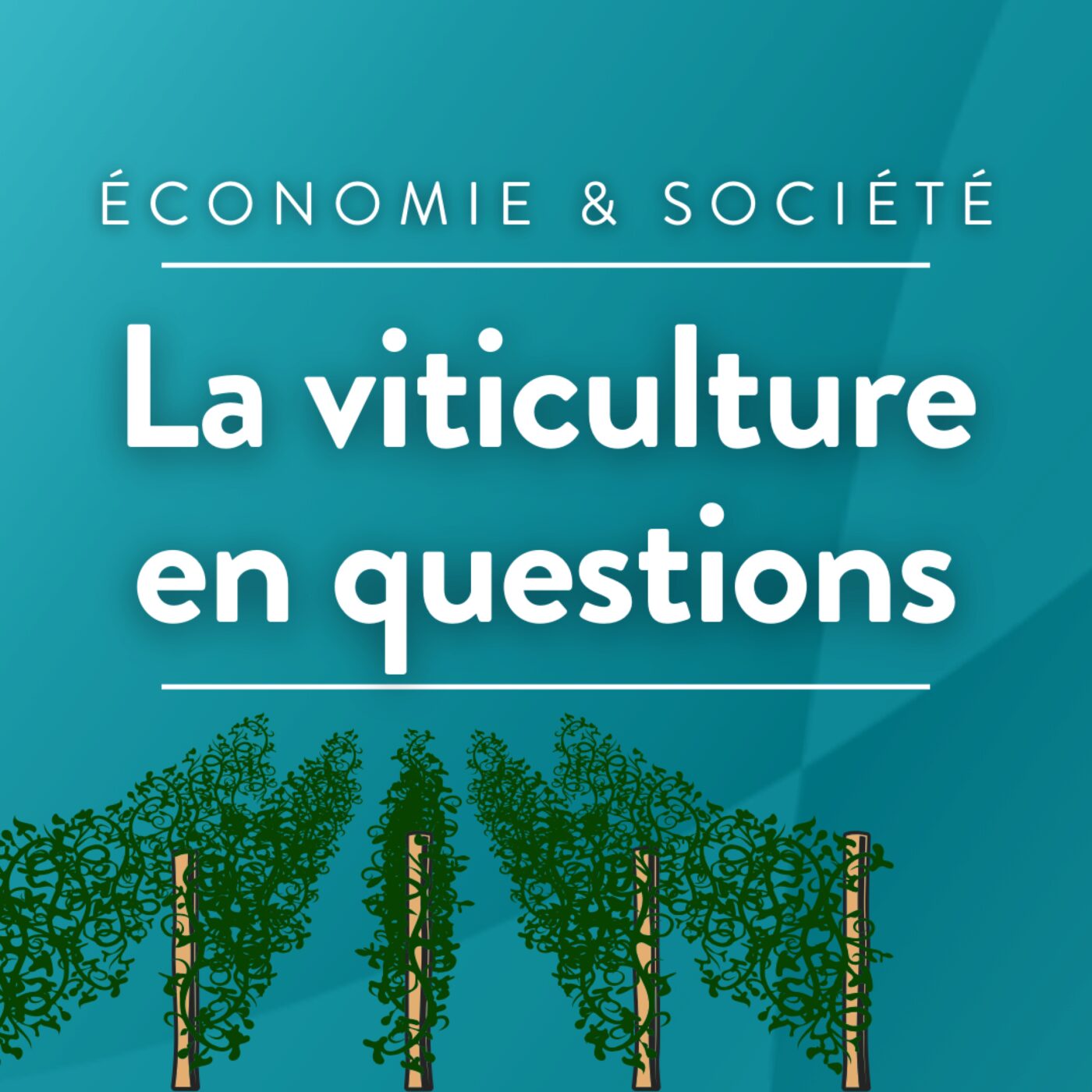 Vers la fin de la "premiumisation" du vin ? episode artwork