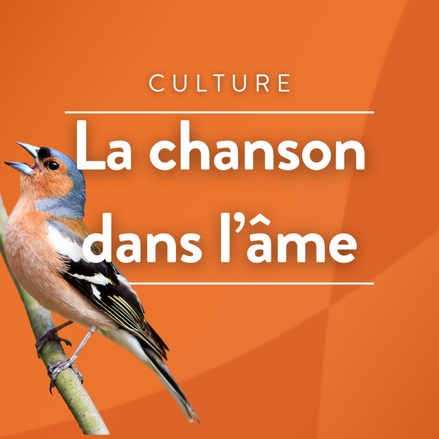 La chanson dans l\'âme