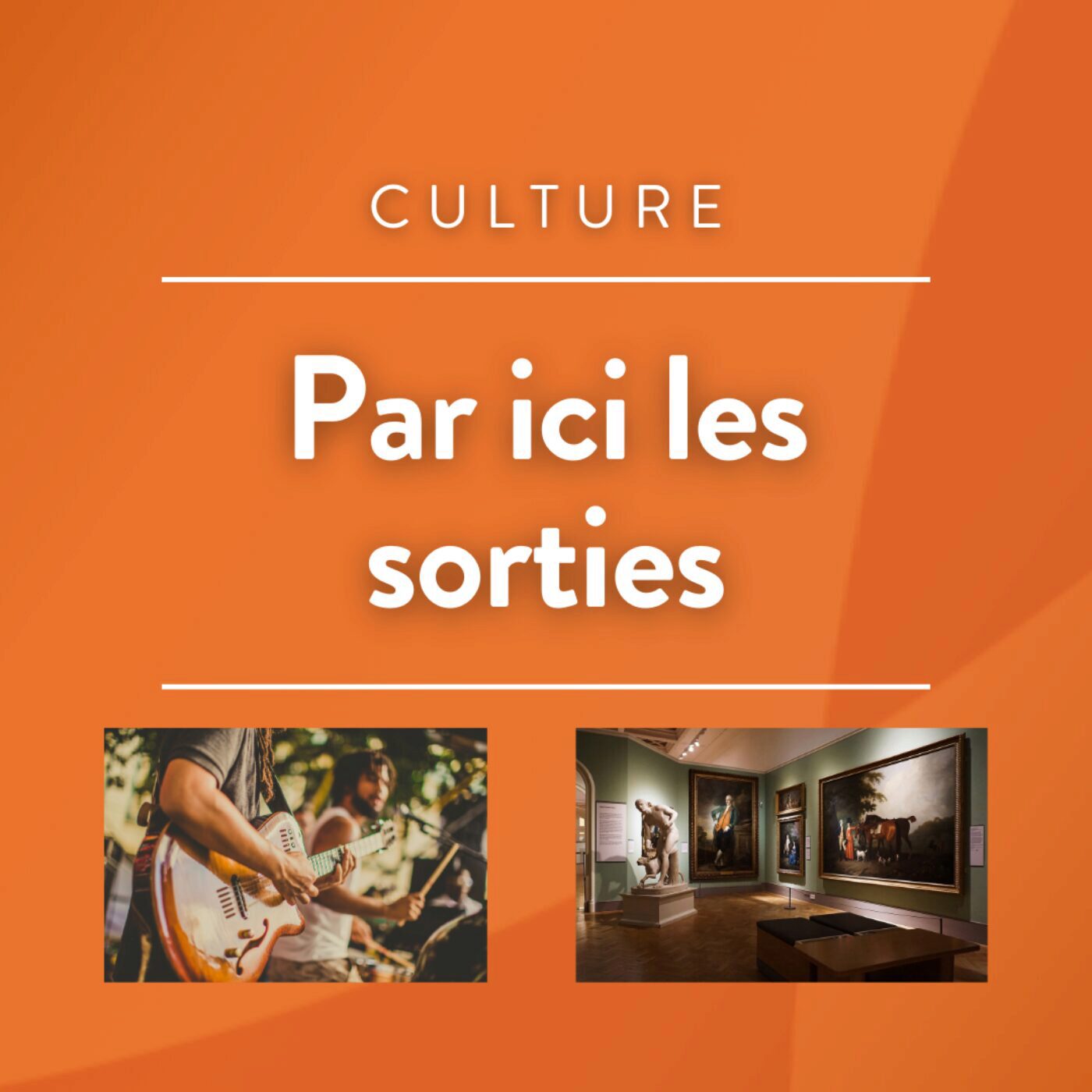 Contre-salon des vieux et des vieilles, concours de chiens de troupeaux episode artwork