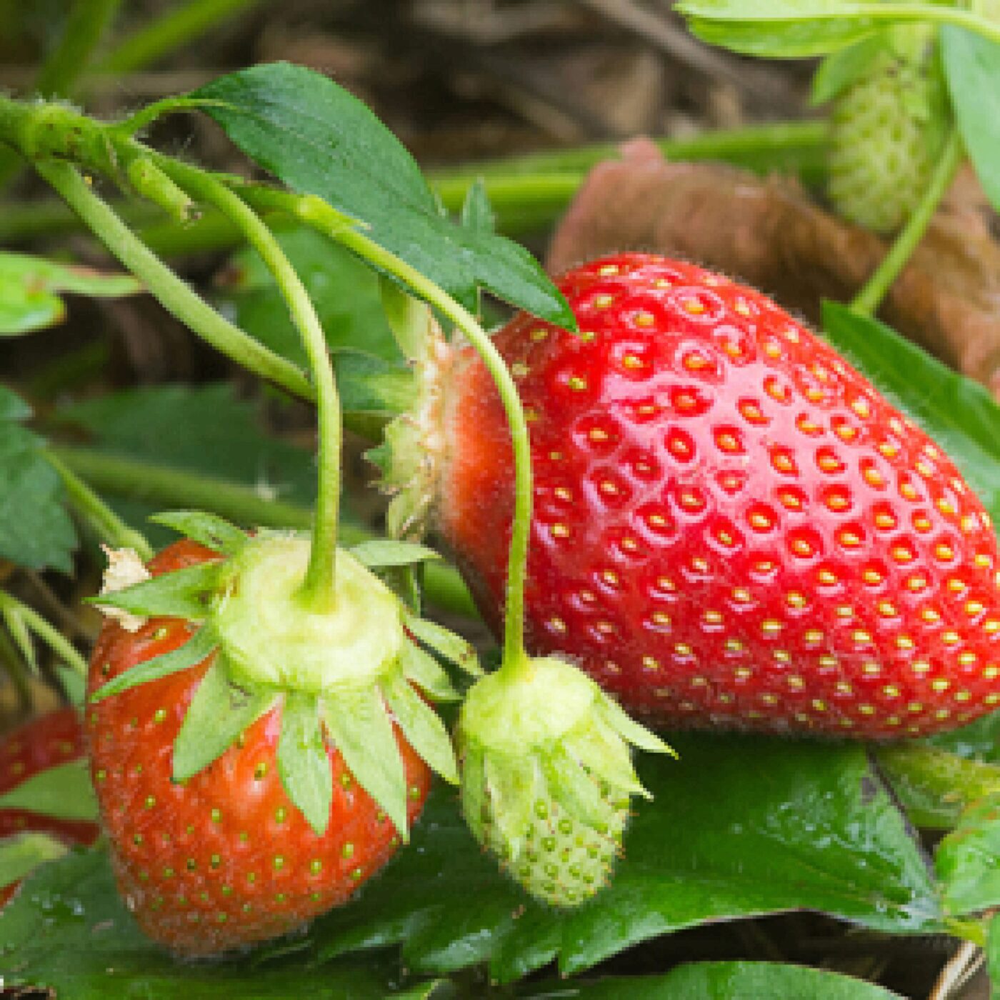 Tu me remercieras plus tard