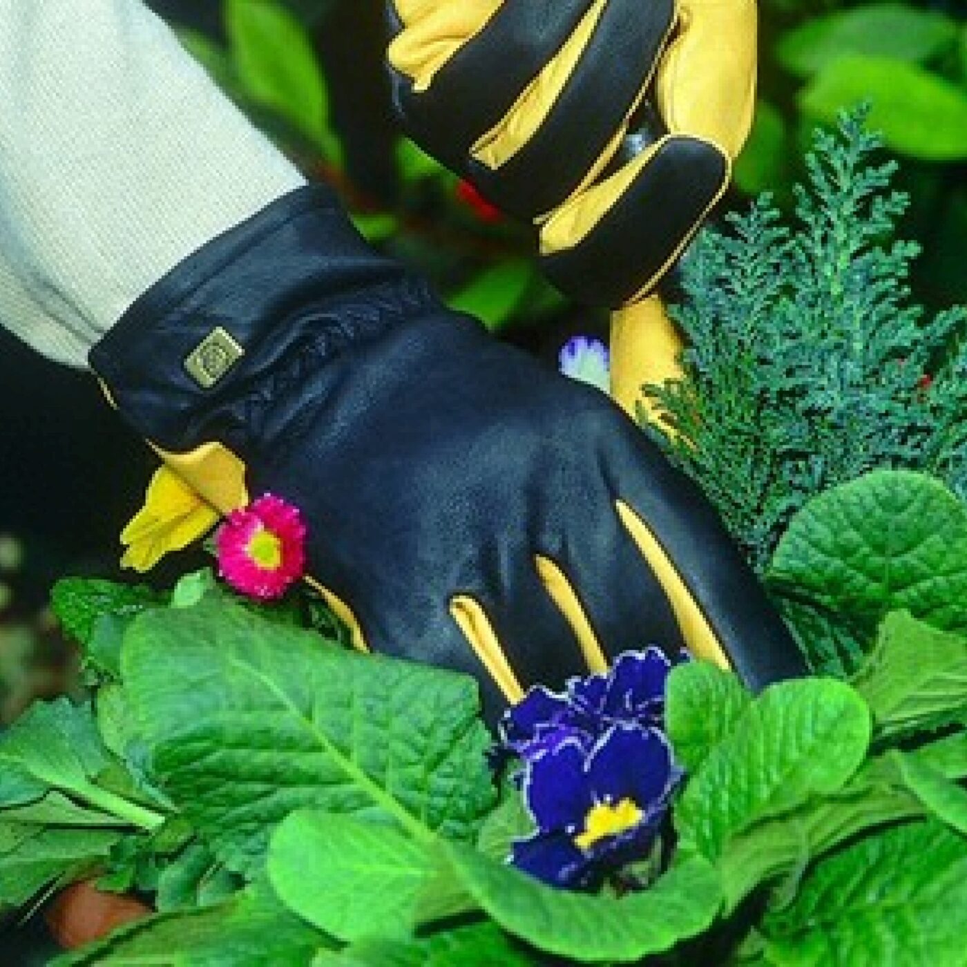 Jardinage