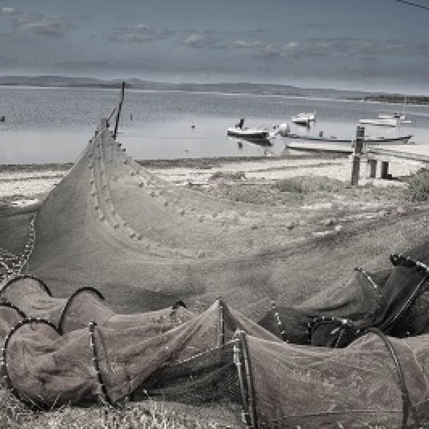 Le long des golfes clairs