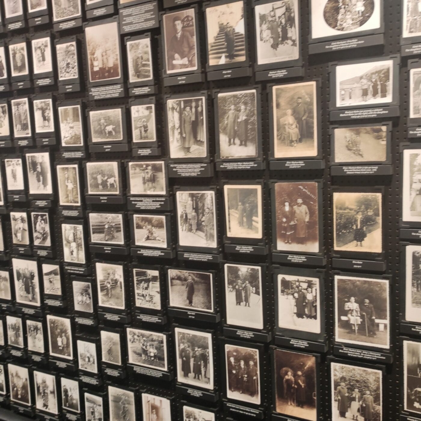 80 ans après la Shoah, la transmission du traumatisme (1/2)