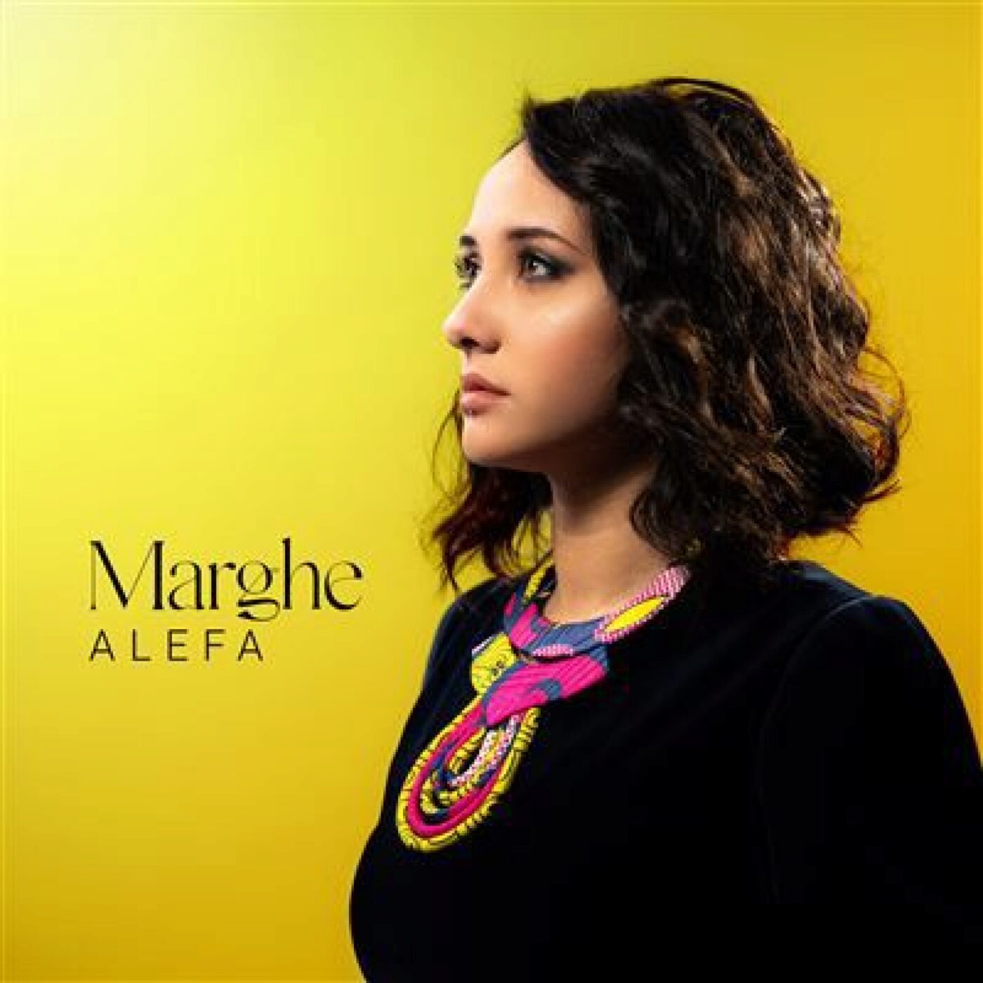 La chanson dans l\'âme