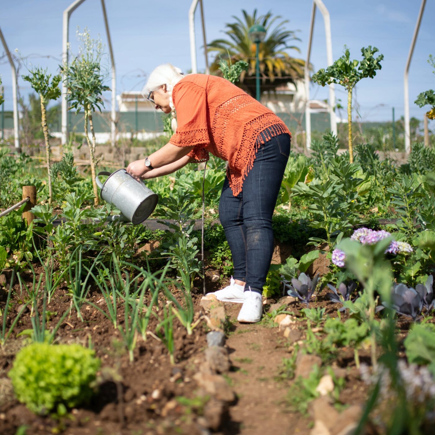 Prenez-en de la graine : des conseils jardinage écolos