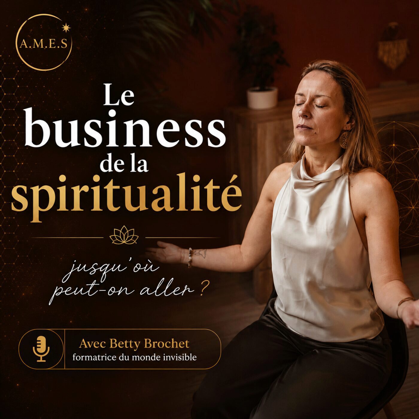 #83- Le business de la spiritualité : jusqu'où peut-on aller ? — AMES cover