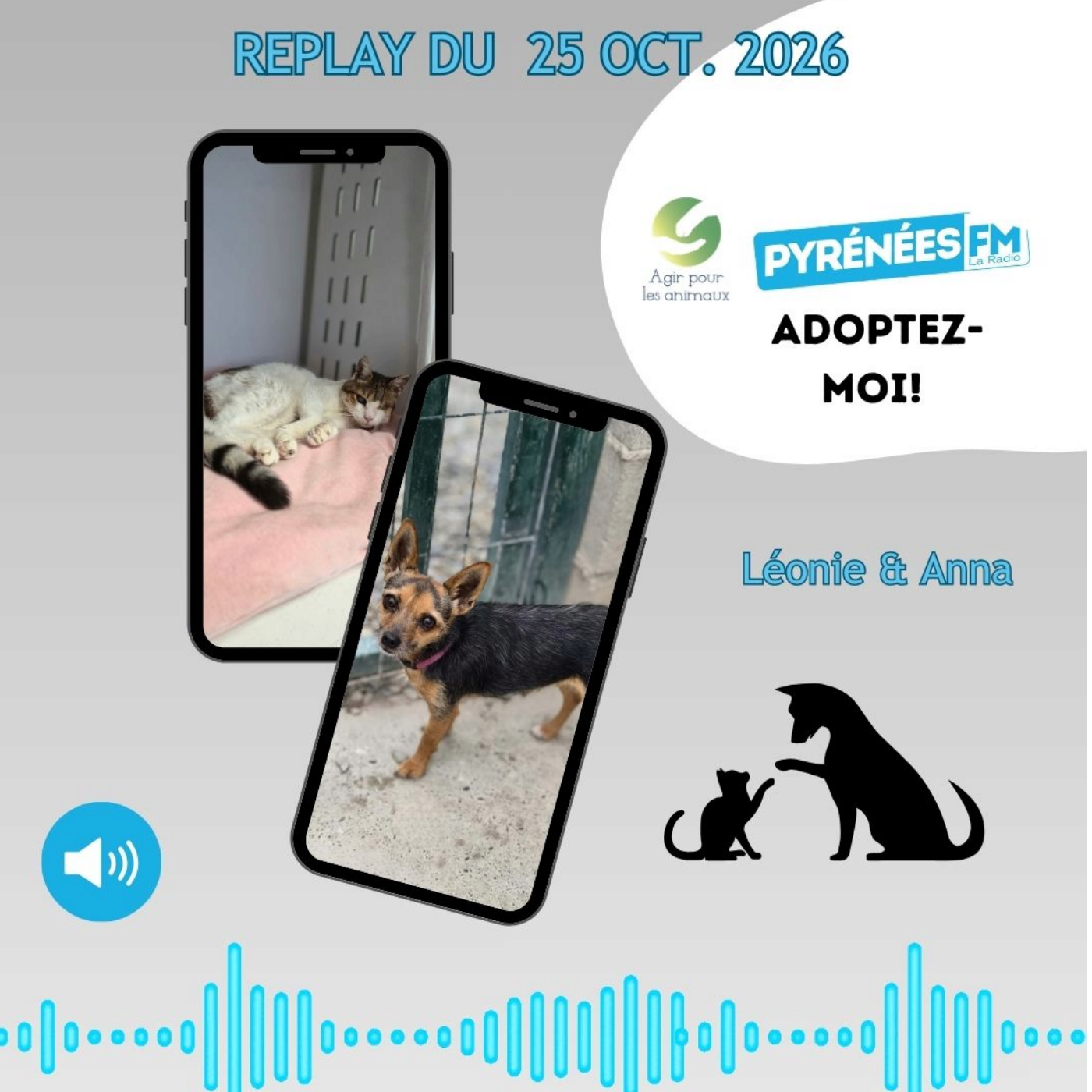 episode cover ADOPTEZ-MOI SUR PYRÉNÉES FM: REPLAY 25 OCT. 2026 🎙️