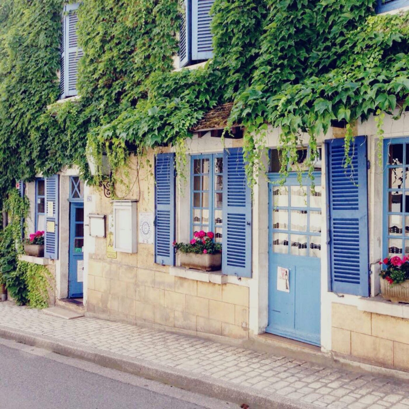 Berry gourmand
