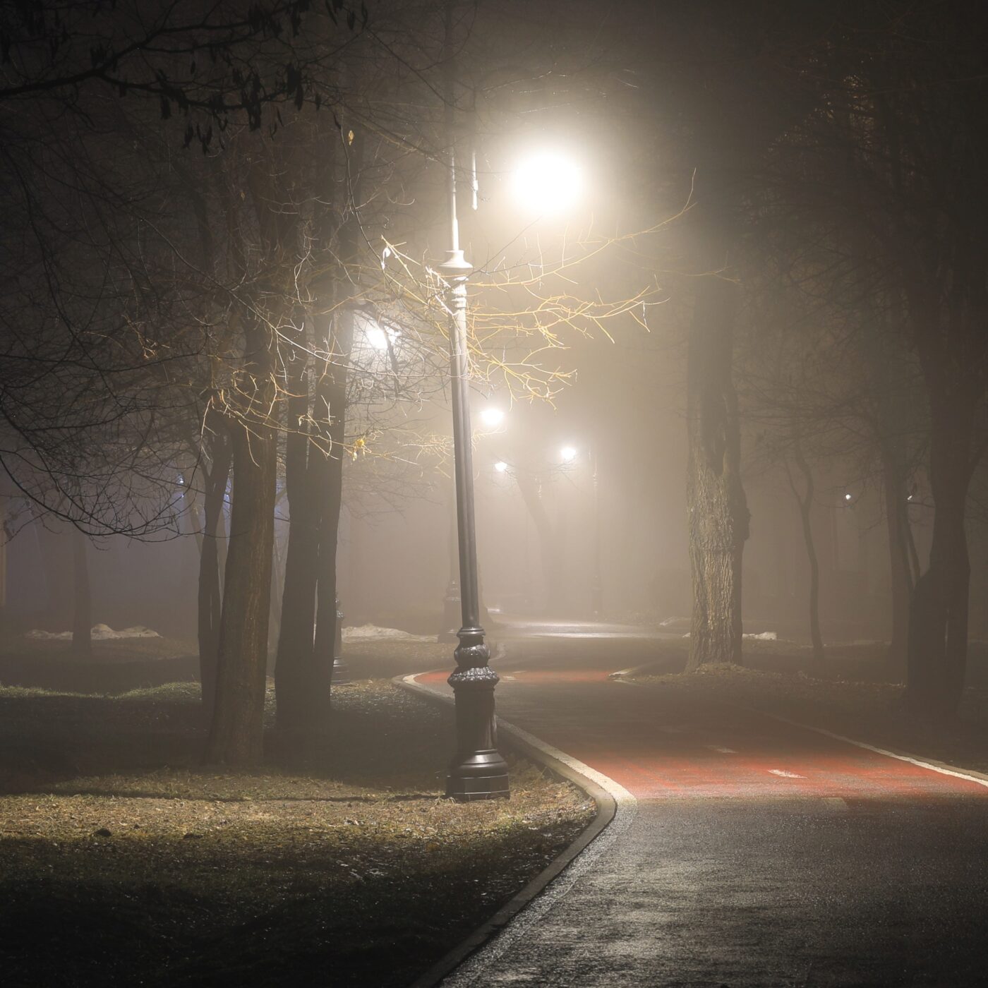 Pollution lumineuse : la peur du noir ? episode artwork