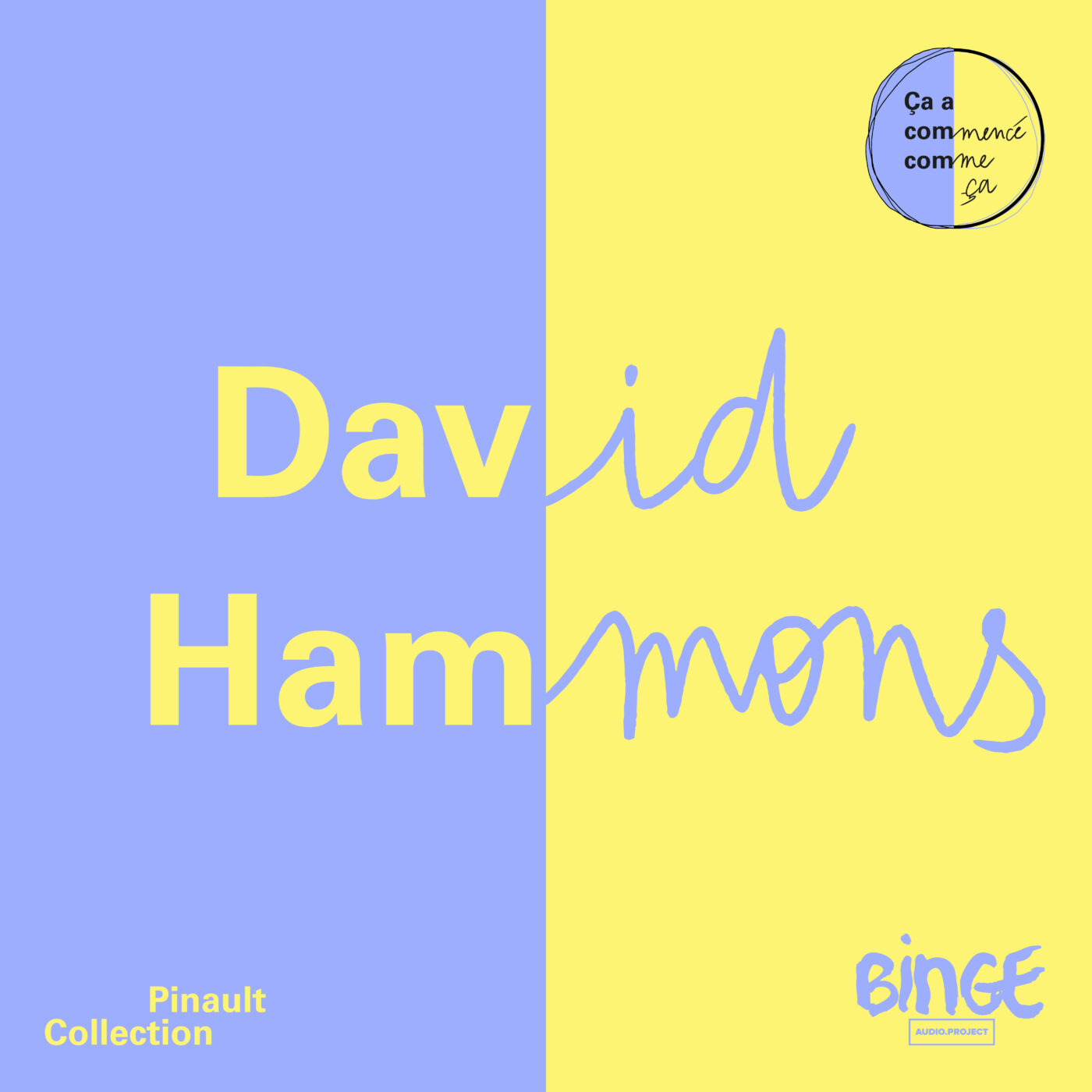 episode cover David Hammons - New York brûle sous la neige 
