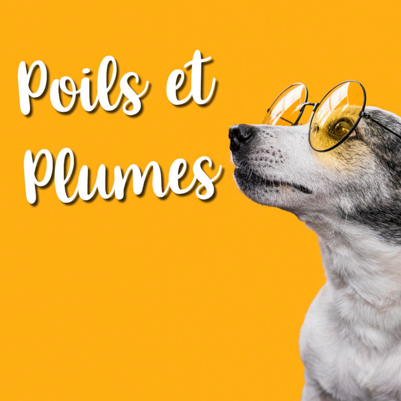 Poils et Plumes