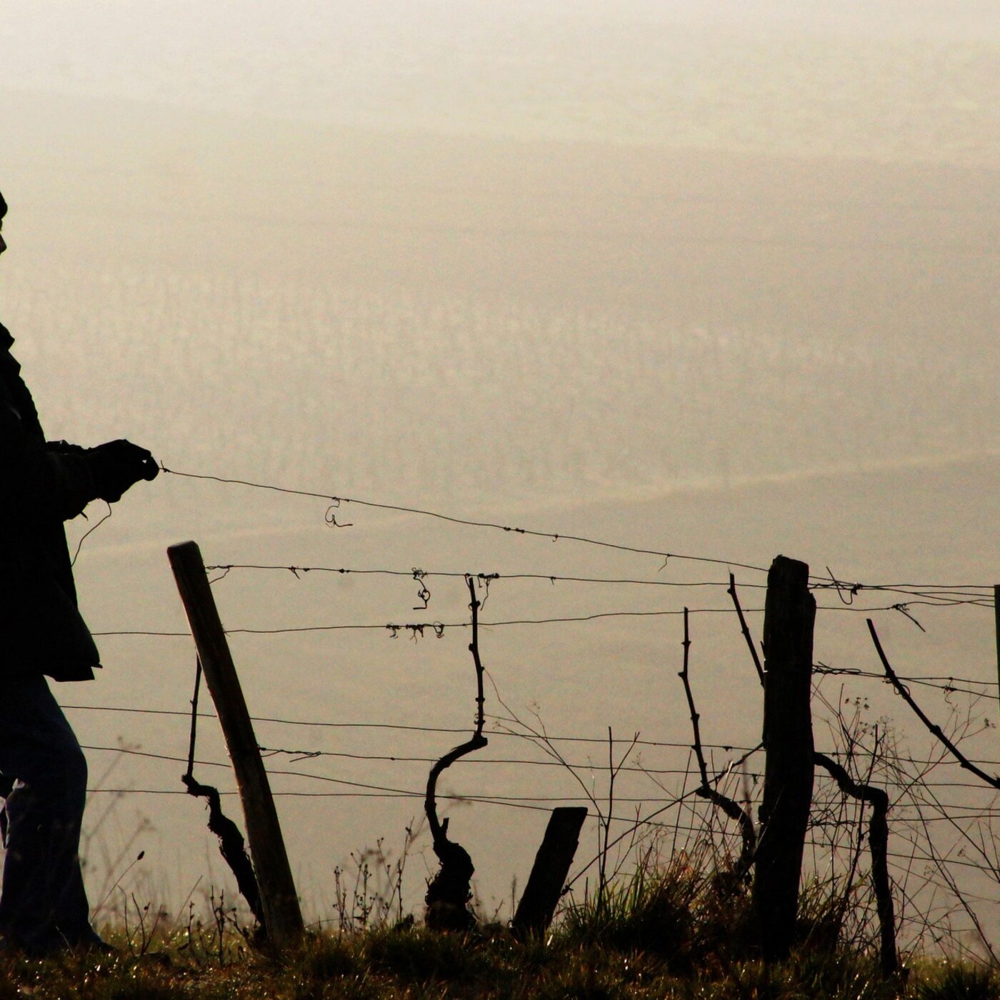 Corentin et Loïc - Charpentiers episode artwork