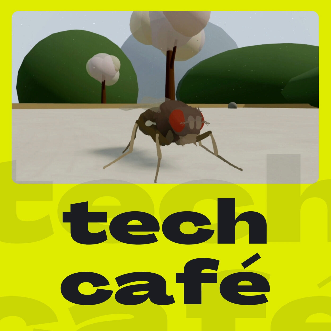 Mouches, baleines et guêpes : ces animaux incompris