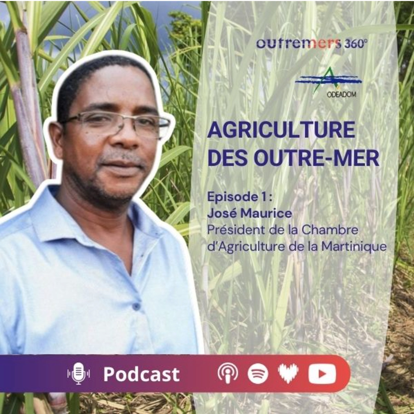 Episode 01_ José Maurice - Président de la Chambre Agriculture de la Martinique  episode artwork