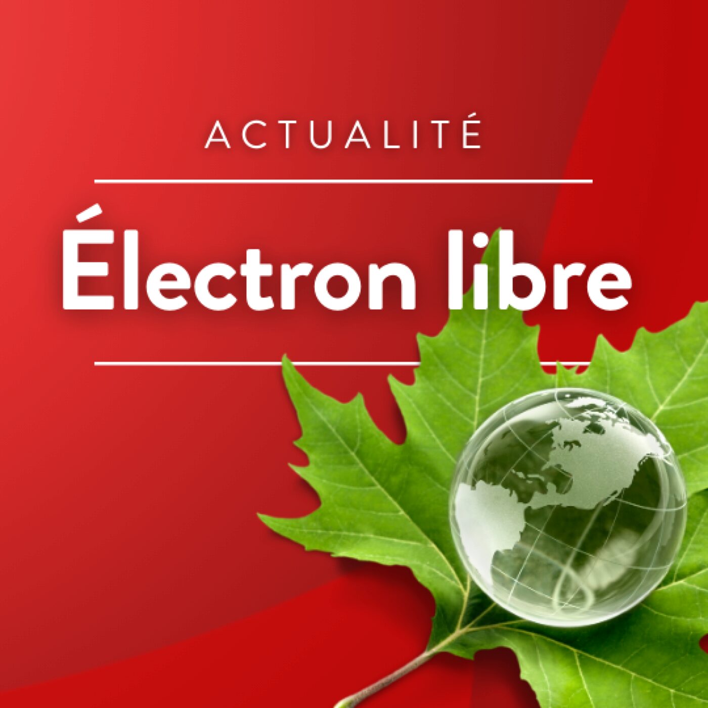 Alimentation et toxicité (2/2)