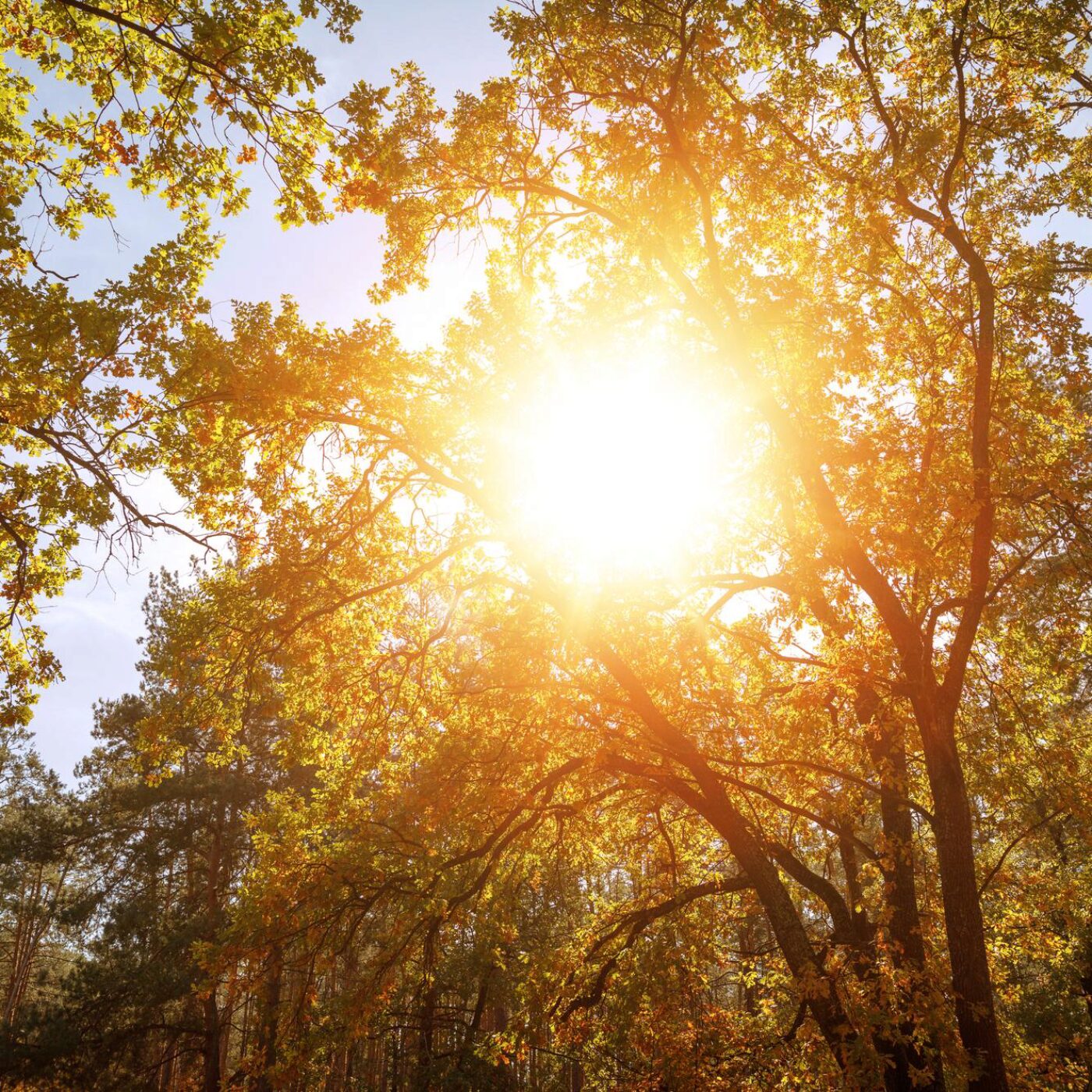 Diabète et Natacha Pasche