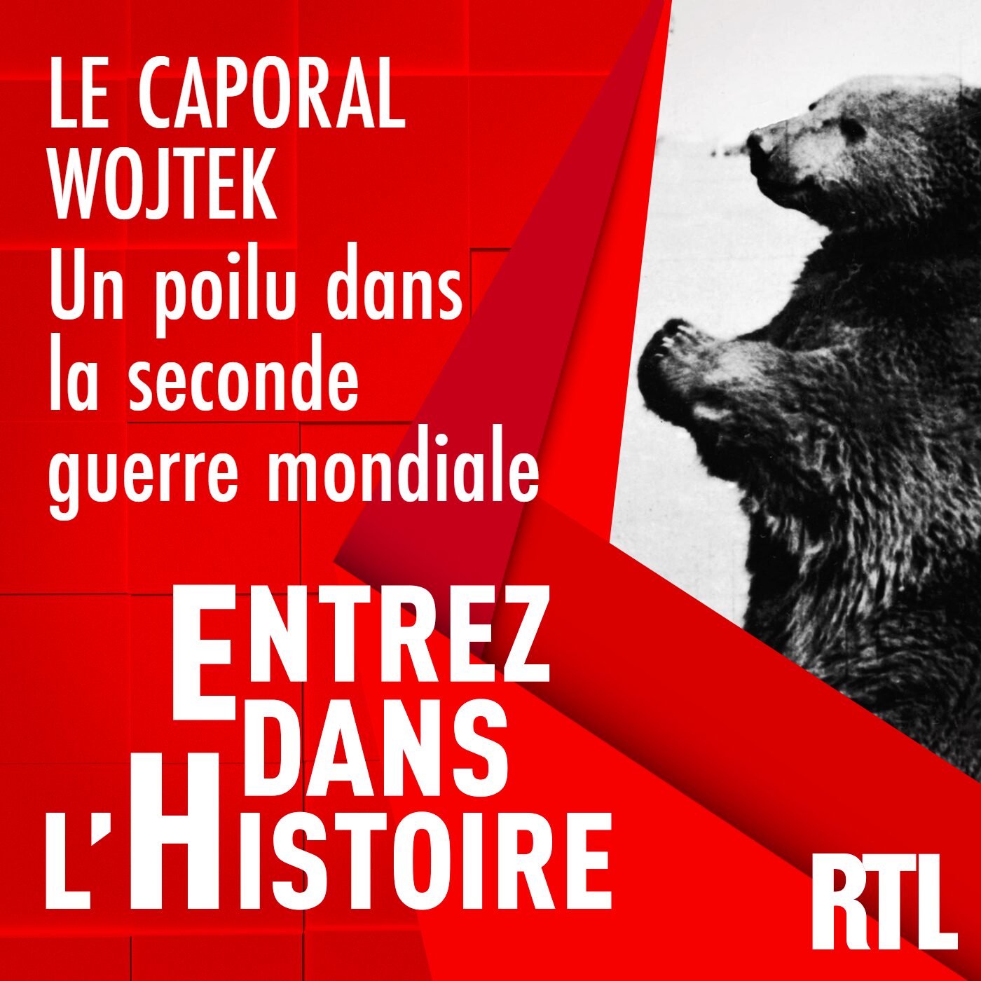 Le caporal Wojtek : un poilu dans la seconde guerre mondiale