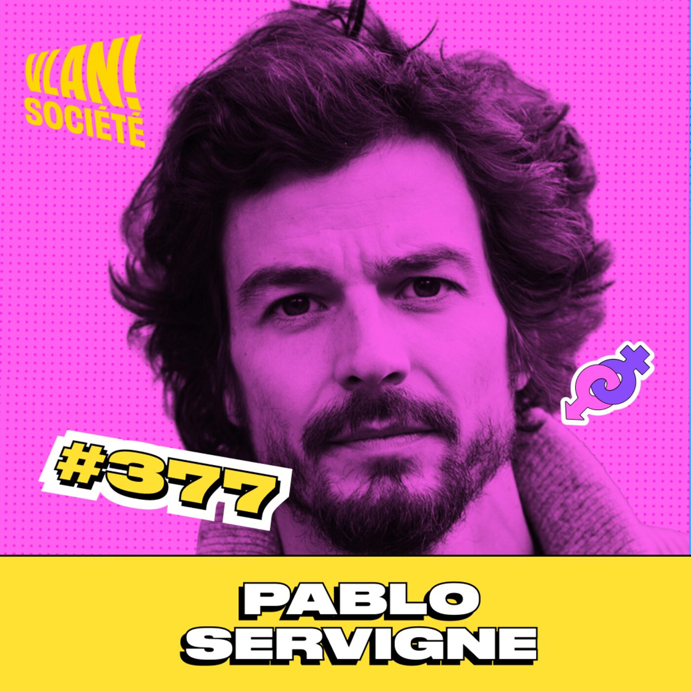 #377 Pourquoi l'avenir appartient aux sociétés solidaires? Avec Pablo Servigne (partie 1)