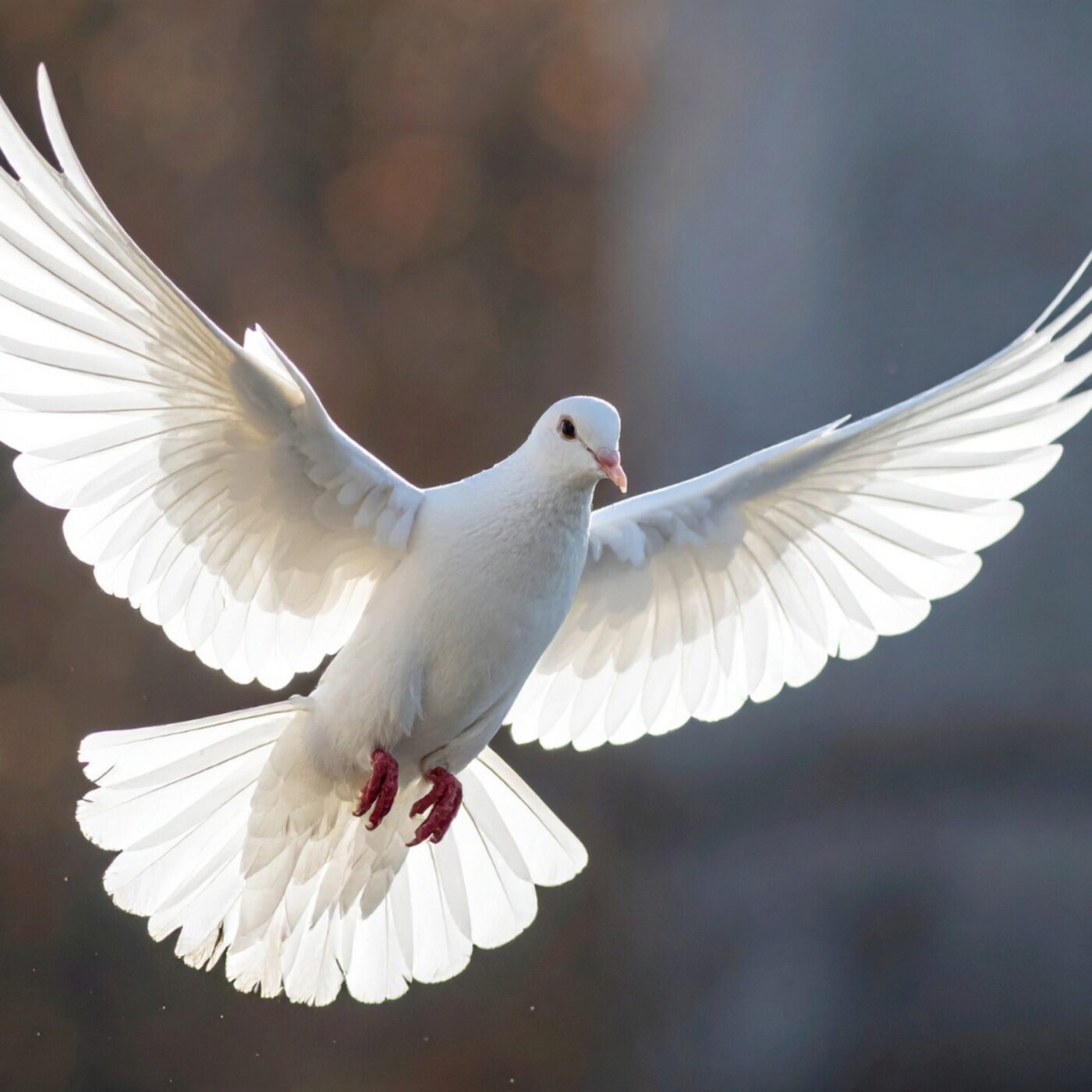 Inspirez l'Energie de Dieu