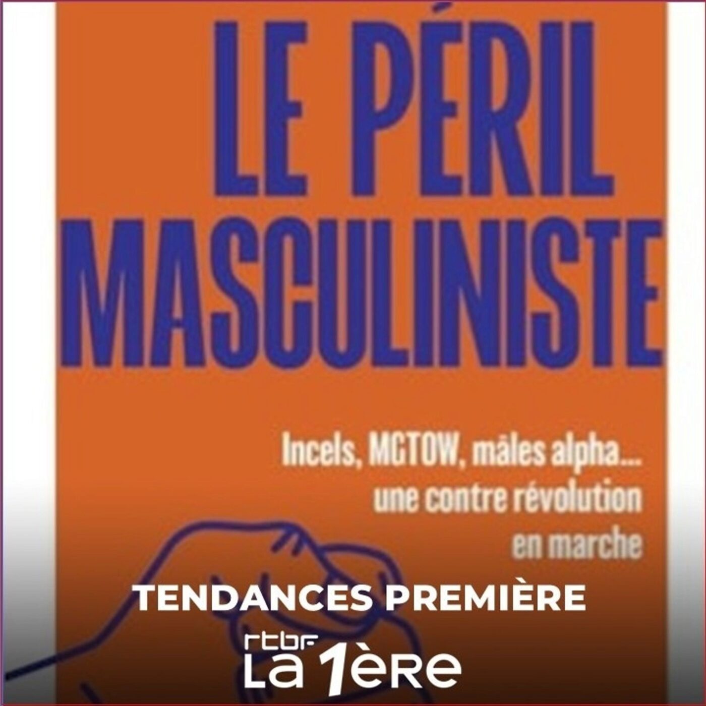 Incels, MGTOW, mâles alpha… avec le masculinisme, une contre révolution est en marche