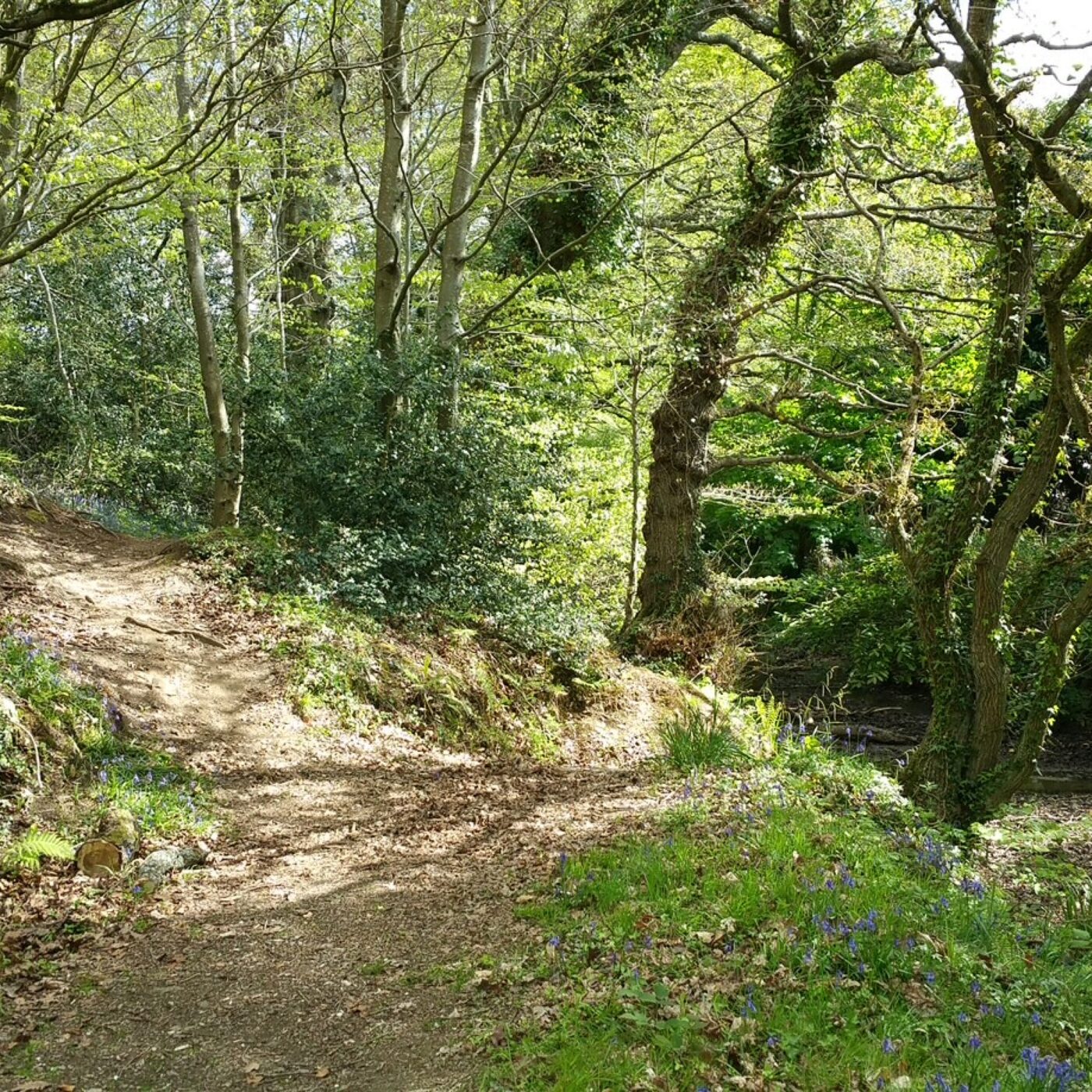 Commune planète (Bretagne)