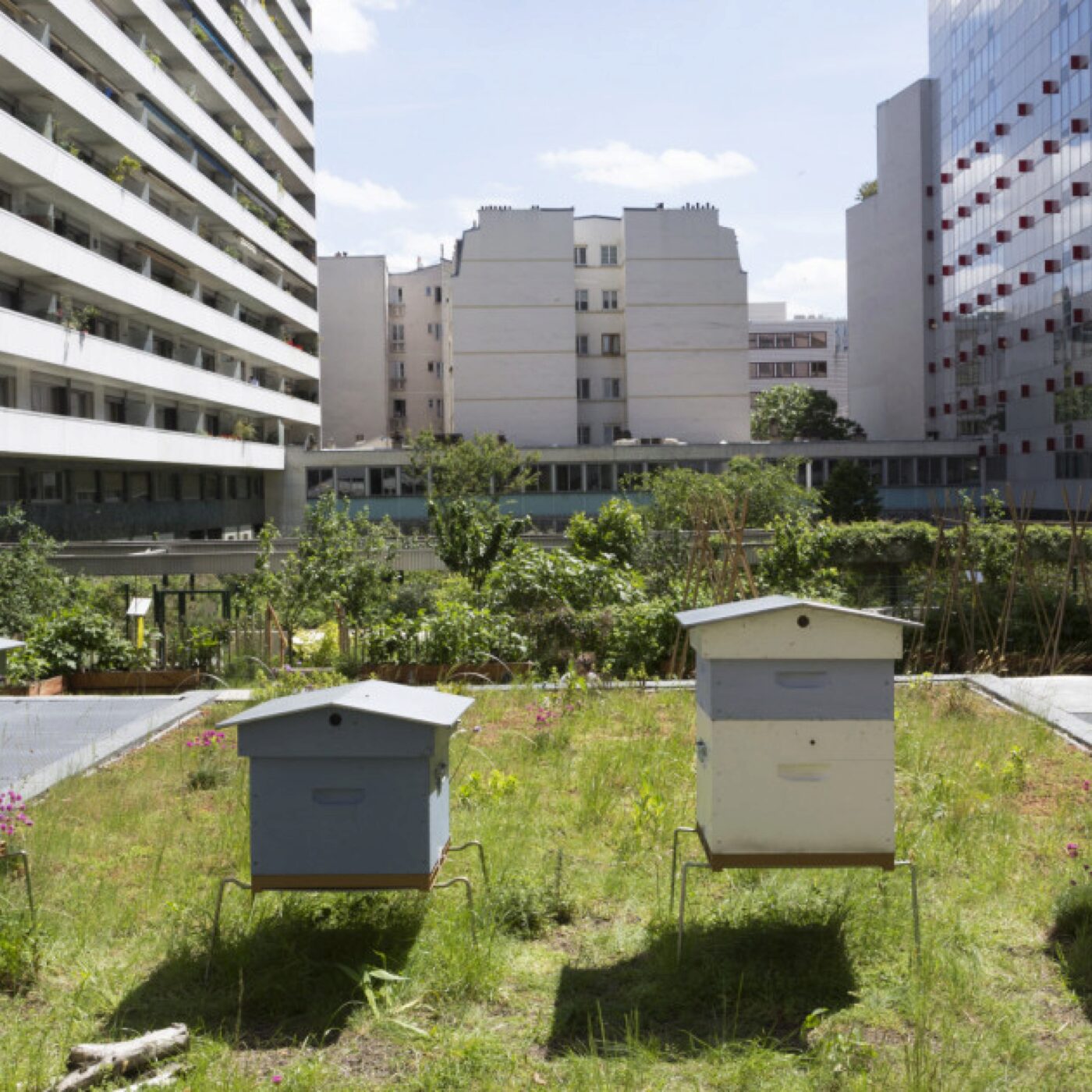 Commune planète en Moselle