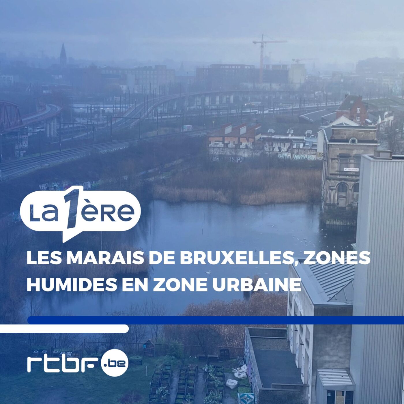 Épisode 1 : "C’est pas nous qui sauvons le marais Wiels, c’est le marais Wiels qui nous sauve"