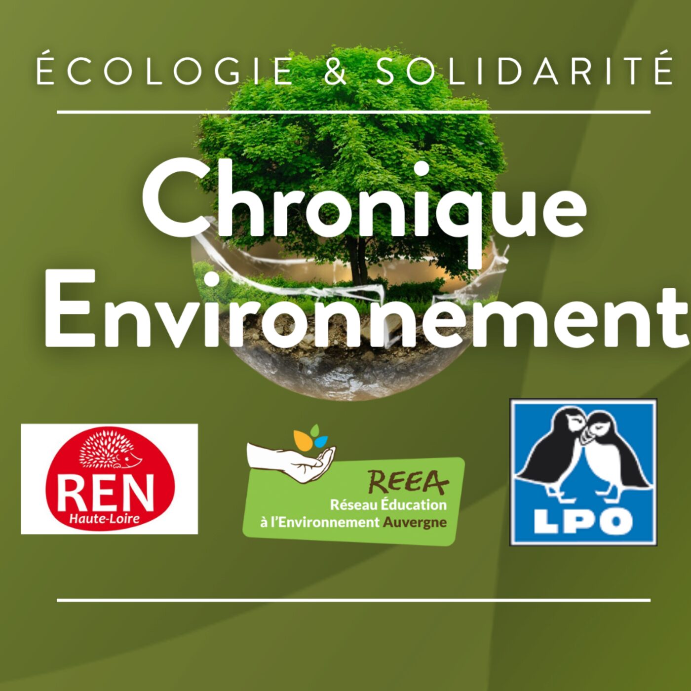 Le festival AlimenTerre