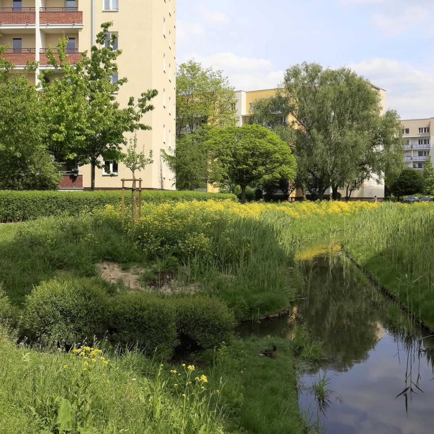 Une végétation pas toujours rafraîchissante, un traitement contre le cancer du cerveau et "Rolling in the Higgs"