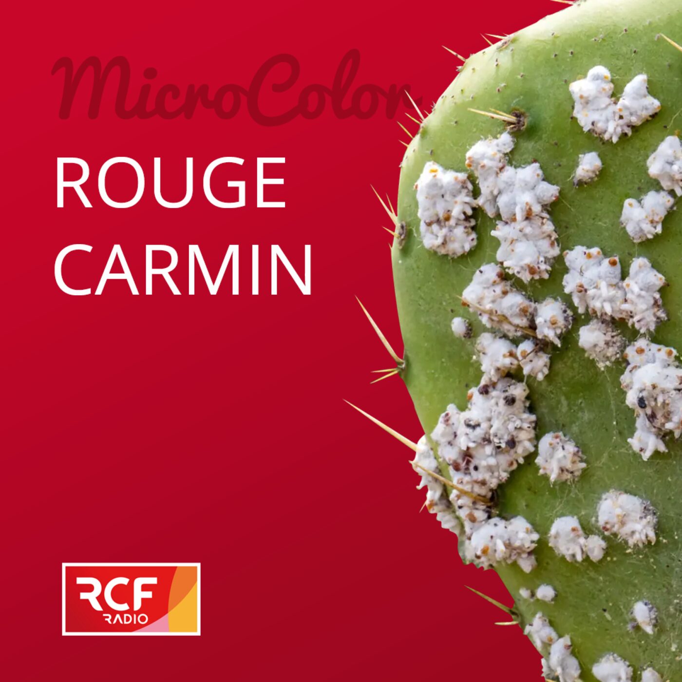 Rouge carmin episode artwork