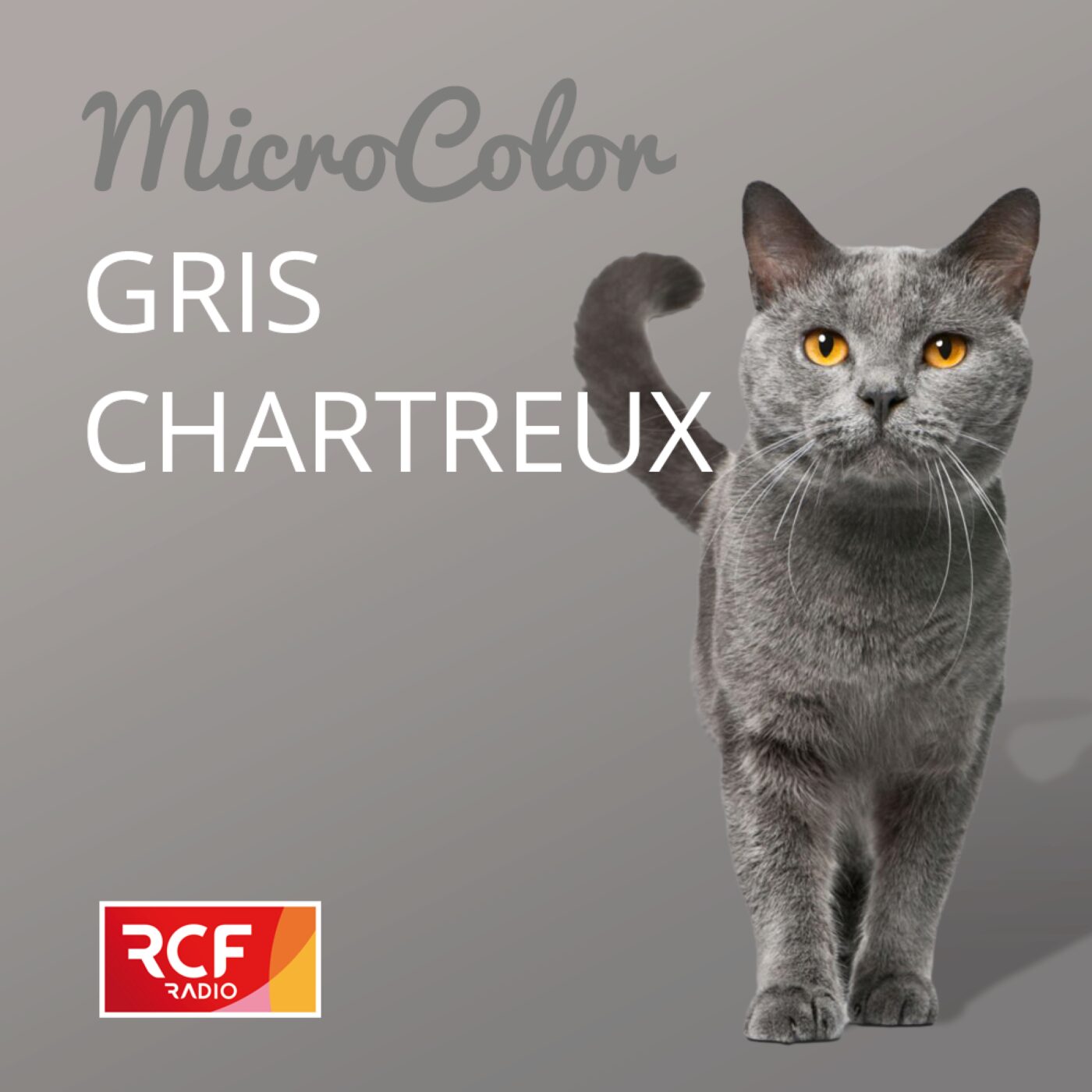 Gris chartreux episode artwork