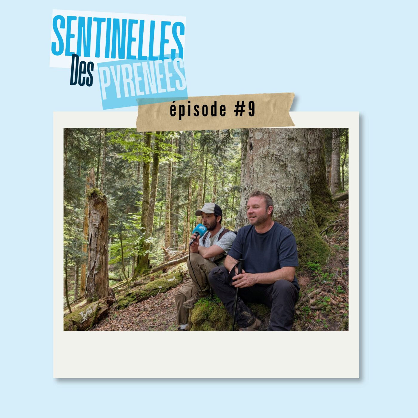 episode cover Patrice & Jérémy : apprendre à lire la forêt