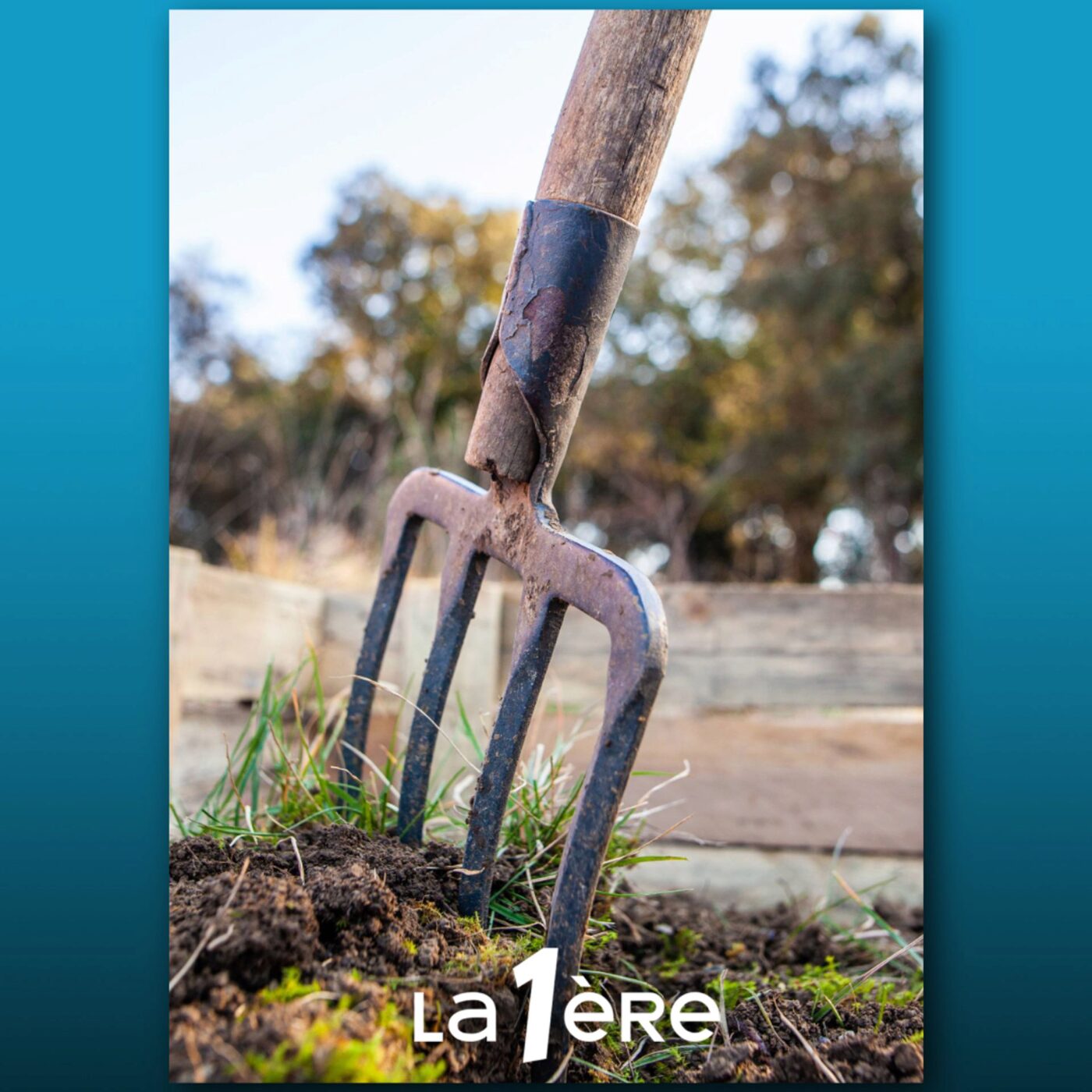 Que faut-il absolument faire au jardin avant l’hiver ?