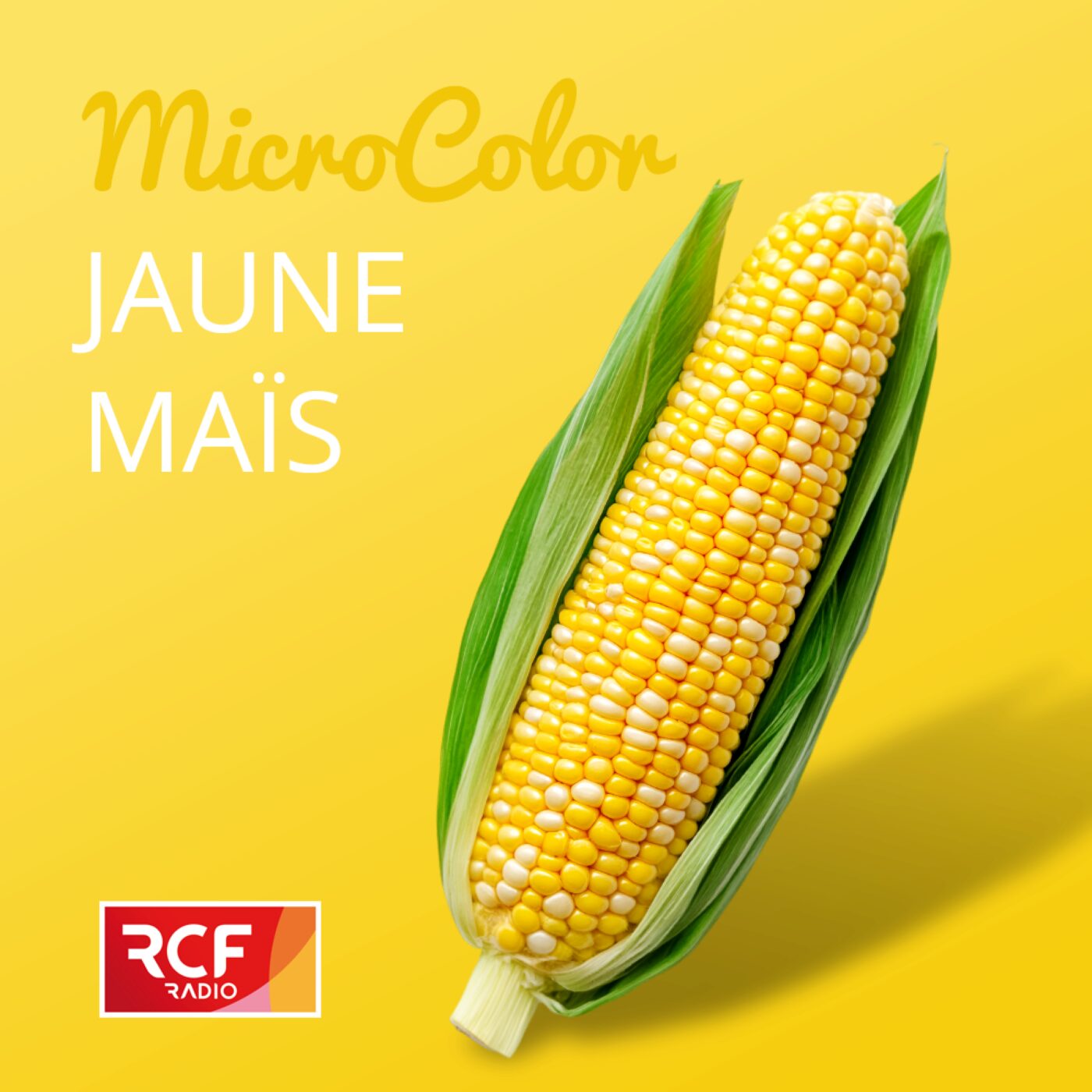 Jaune maïs
