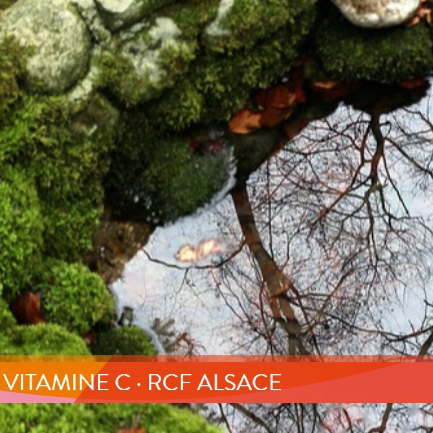 Vitamine C · RCF Alsace