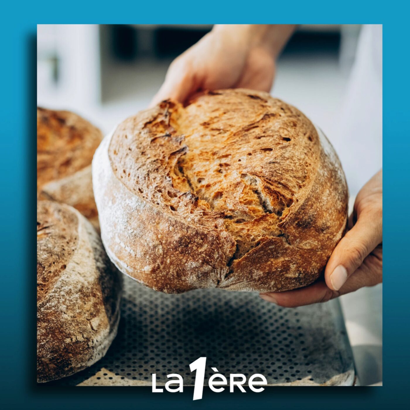 Le pain local, ça veut dire quoi exactement ?