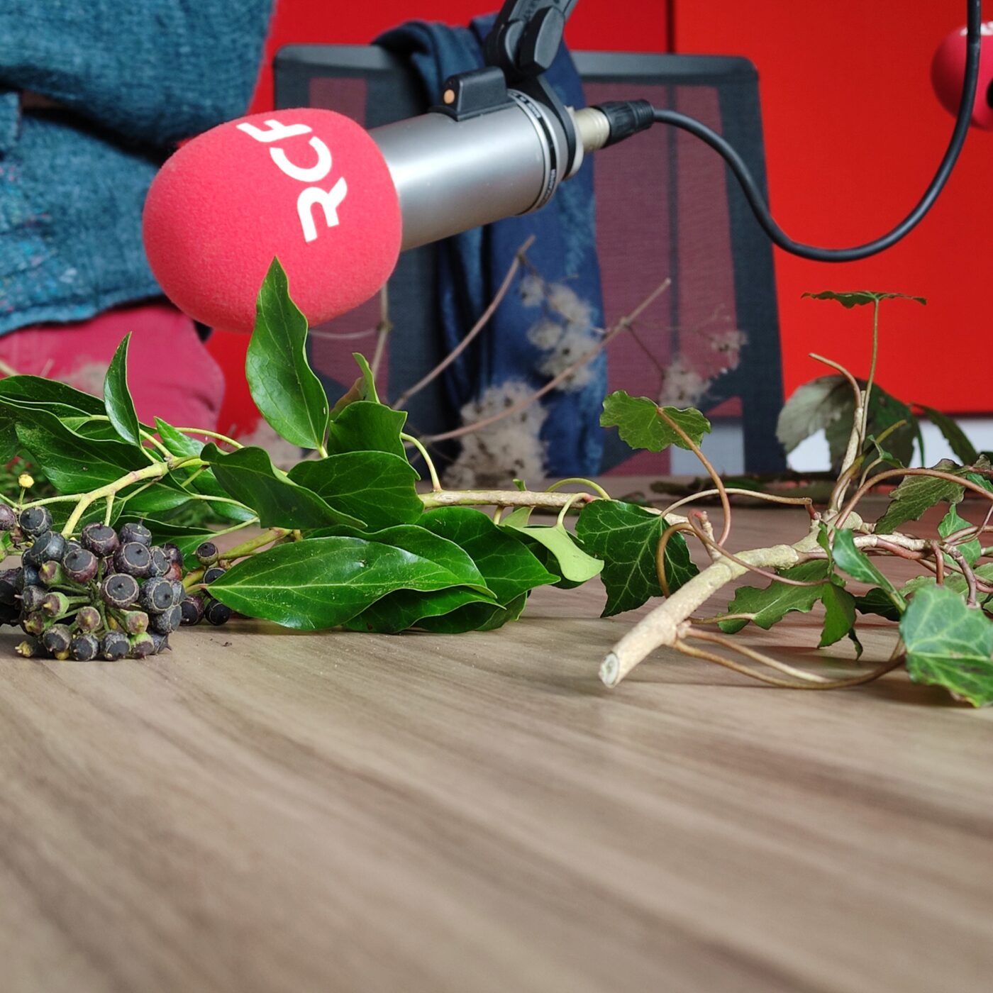 La chronique nature