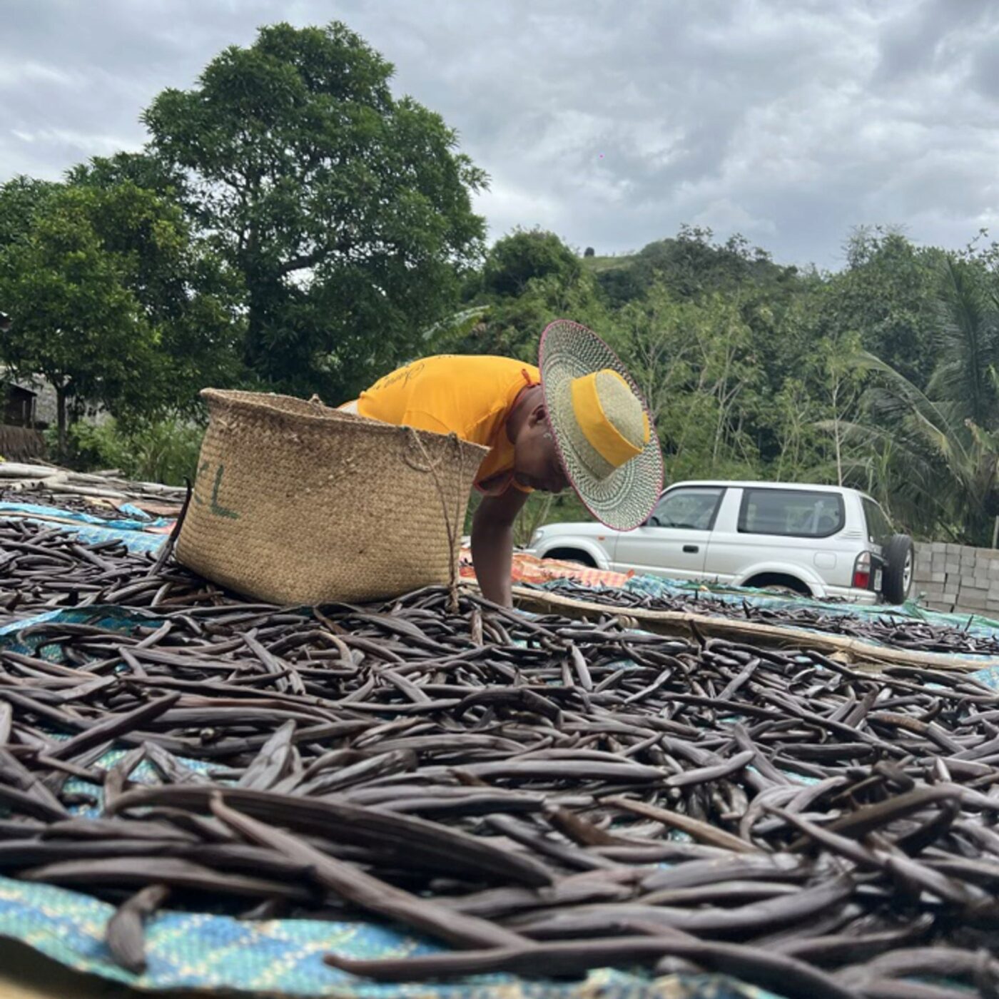 La chute du prix de la vanille à Madagascar (rediffusion)