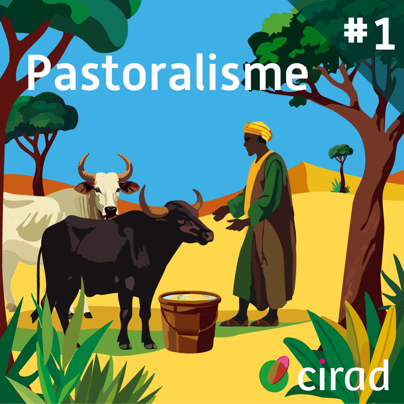 episode cover C'est quoi, le pastoralisme ?