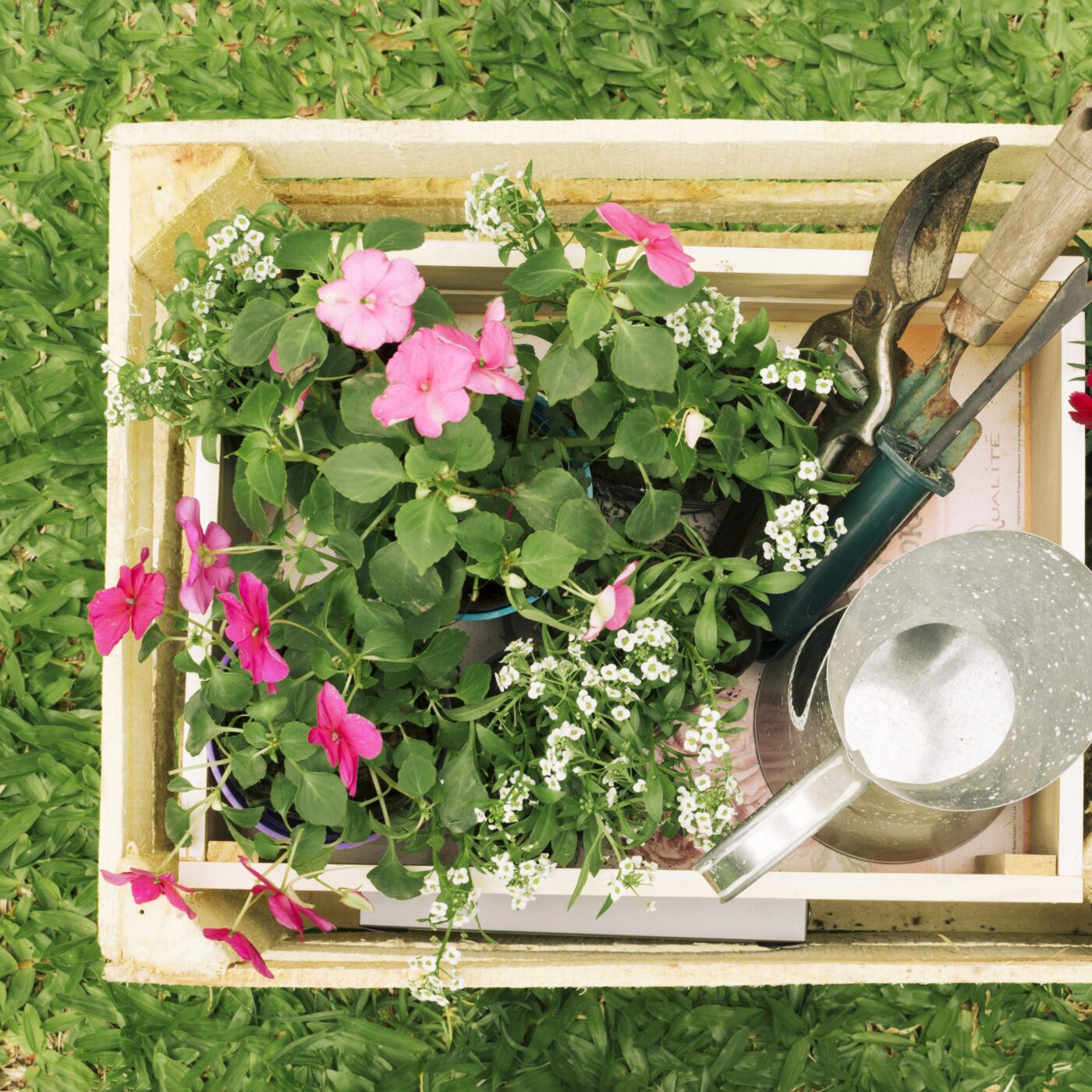 Je pense donc j\'agis