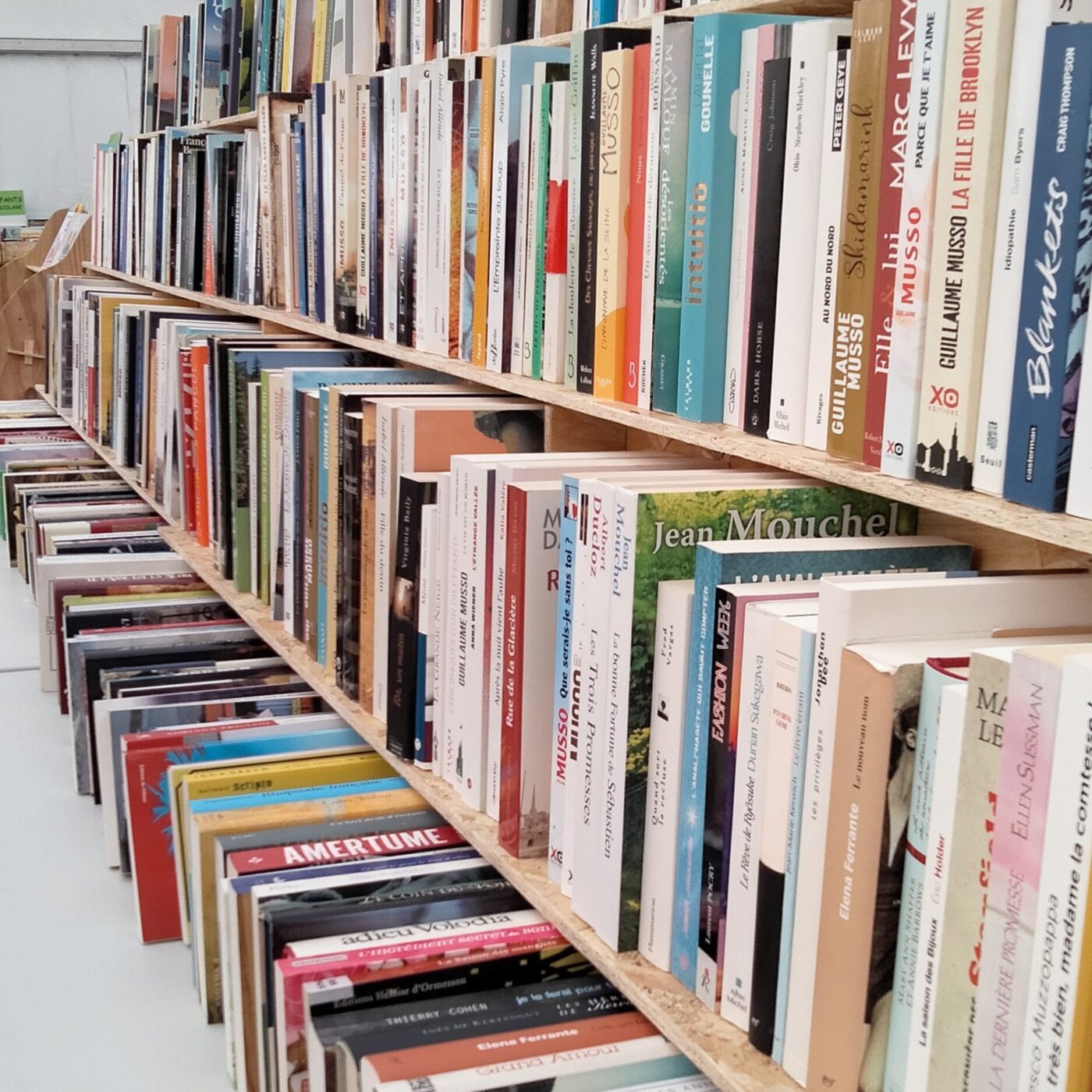 70 écrivains se donnent rendez-vous, dès demain à Livres en Marches episode artwork