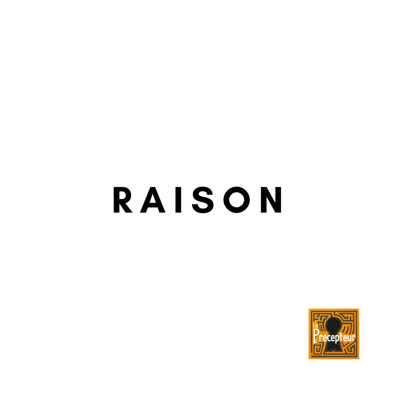 🔒 RAISON