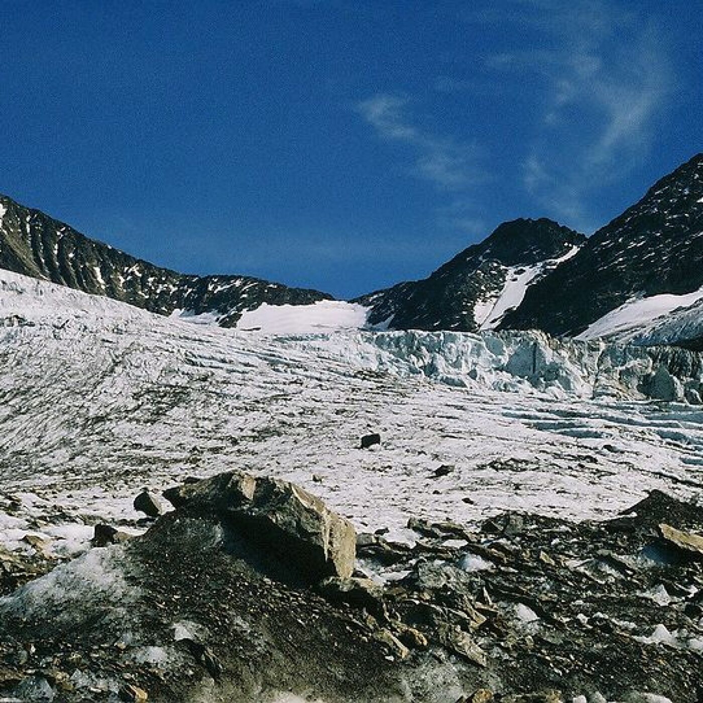 Et si la fonte des glaciers libérait des écosystèmes, favorables à la biodiversité ? episode artwork