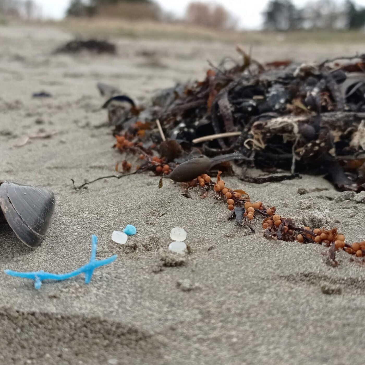 Des granulés de plastique industriel sur le littoral des Côtes d'Armor episode artwork