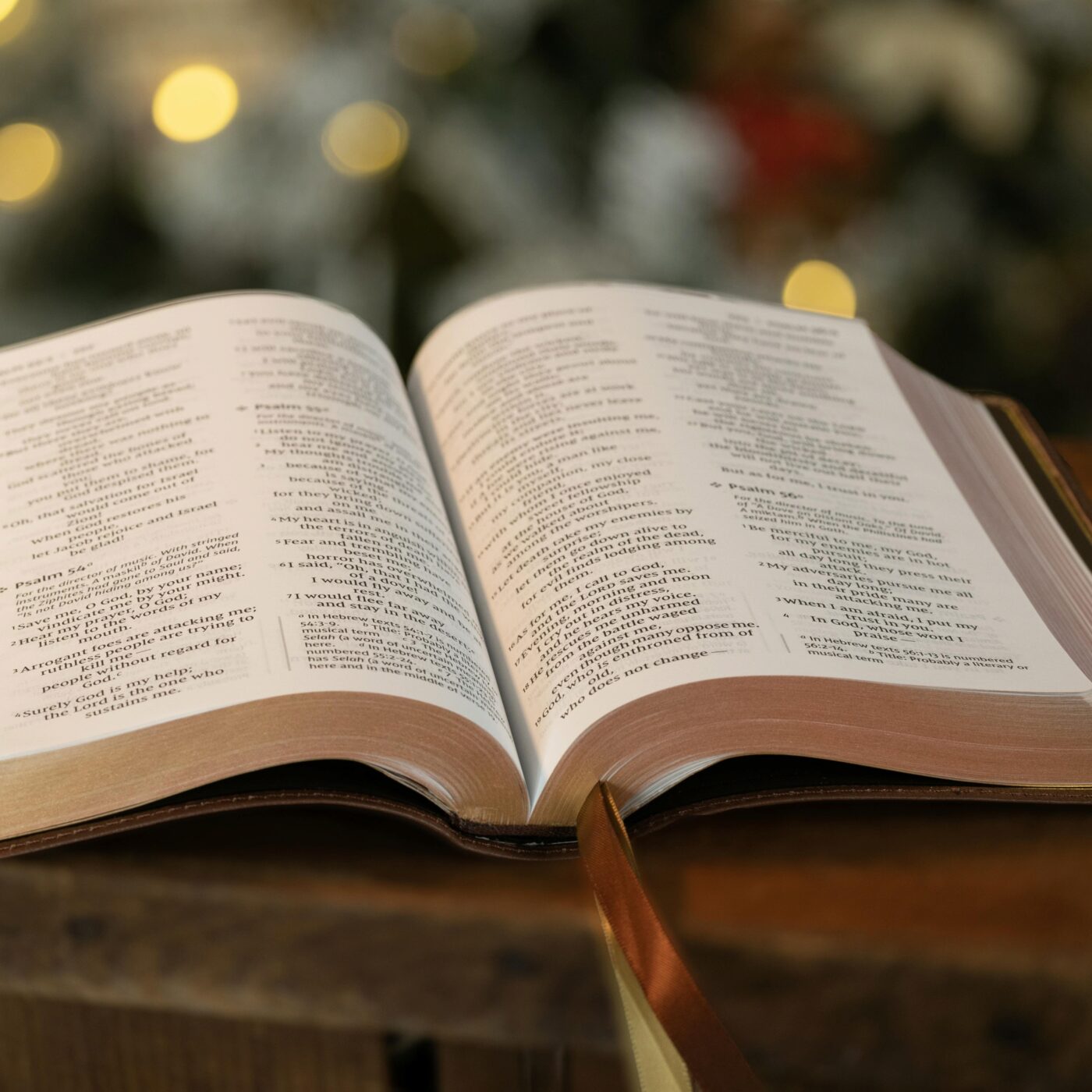 Commencer par faire le choix de Dieu... L'histoire étonnante de Ruth