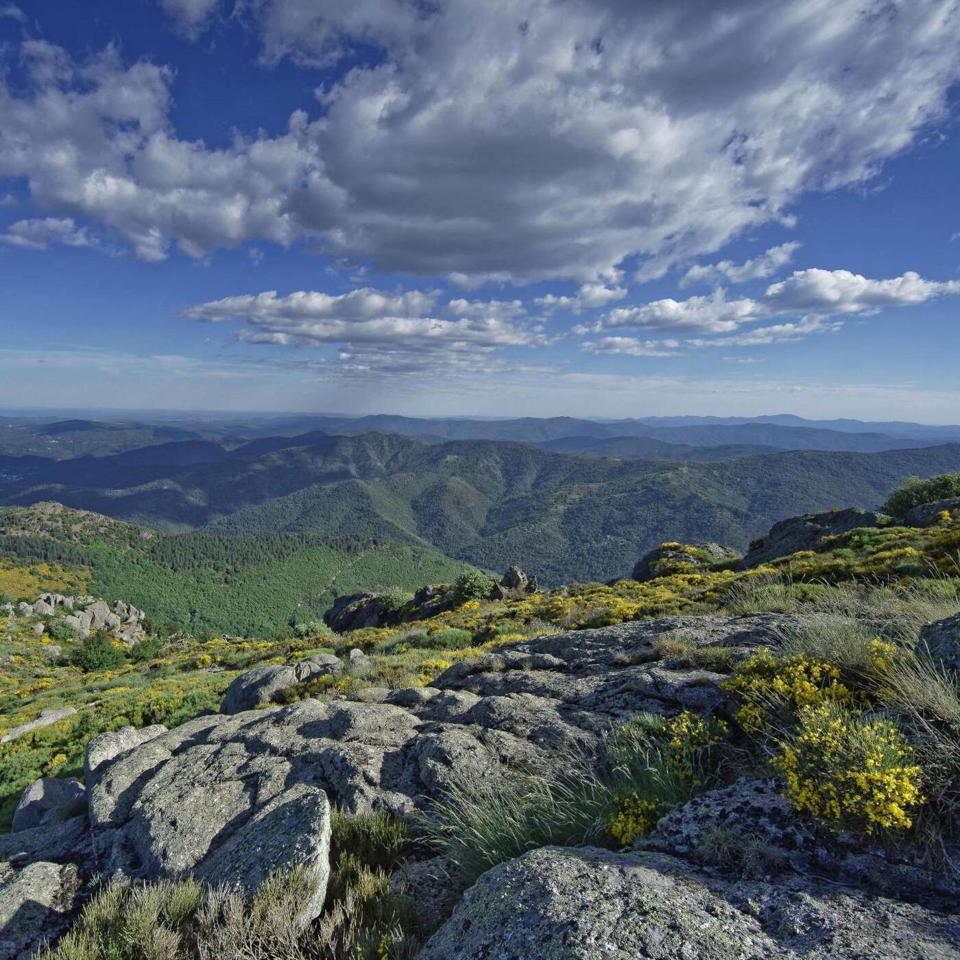 Le triangle de la Burle, une transposition utérine et la police scientifique
