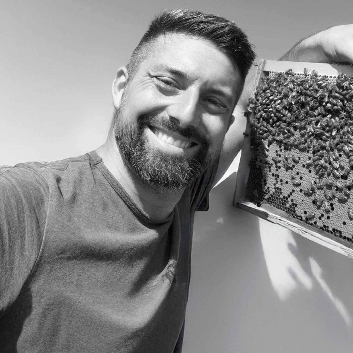 Pourquoi les abeilles peuvent être une source d’inspiration pour l’entreprise ?