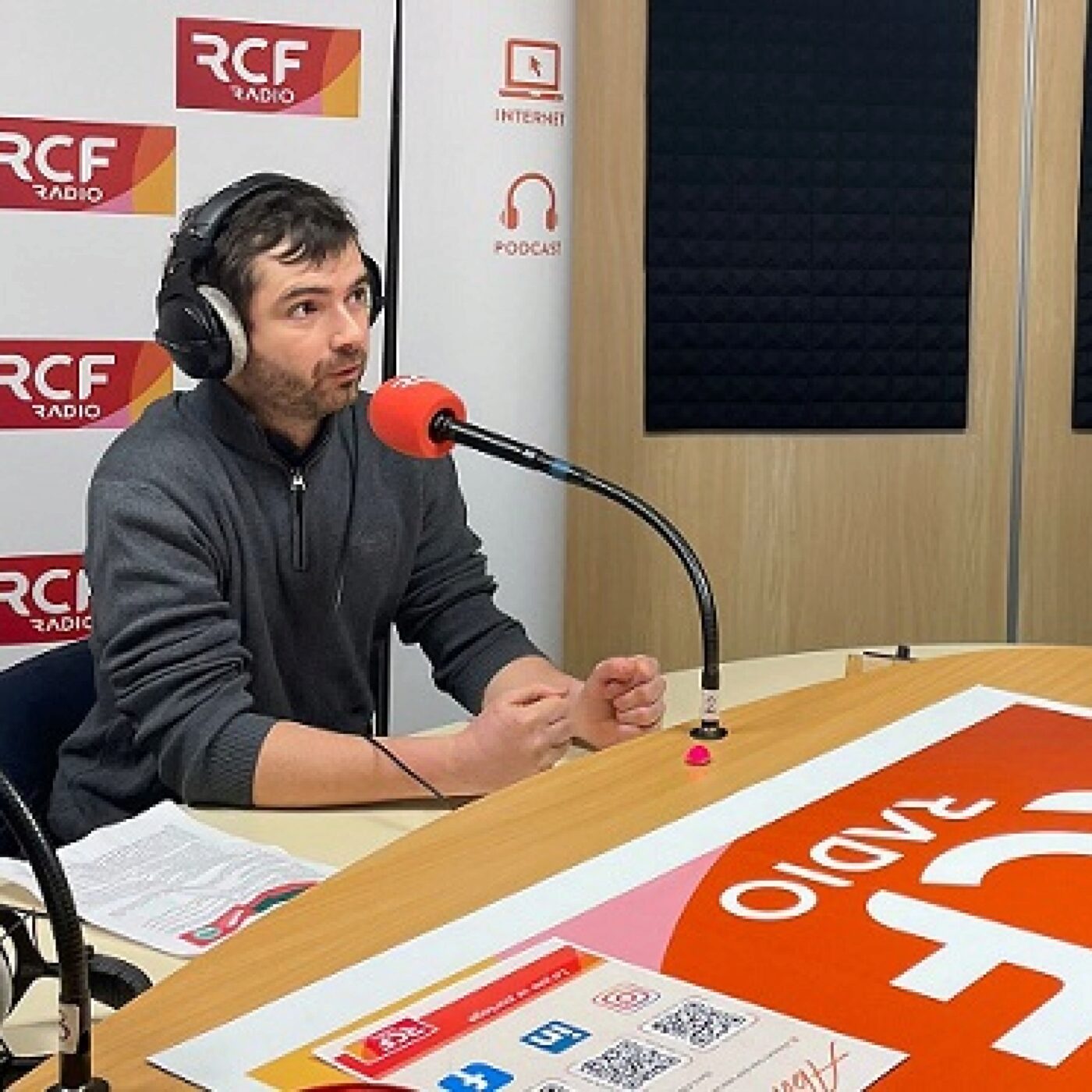 Des drapeaux en berne pour symboliser le deuil de l'agriculture française episode artwork