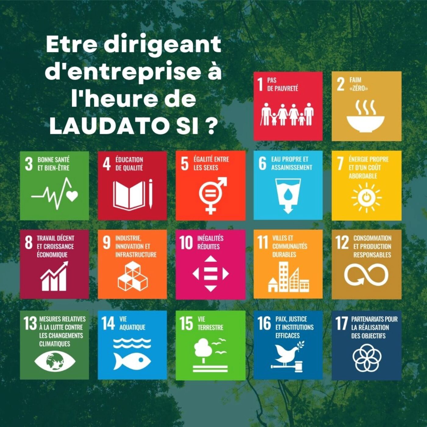 Etre dirigeant d'entreprise à l'heure de Laudato Si