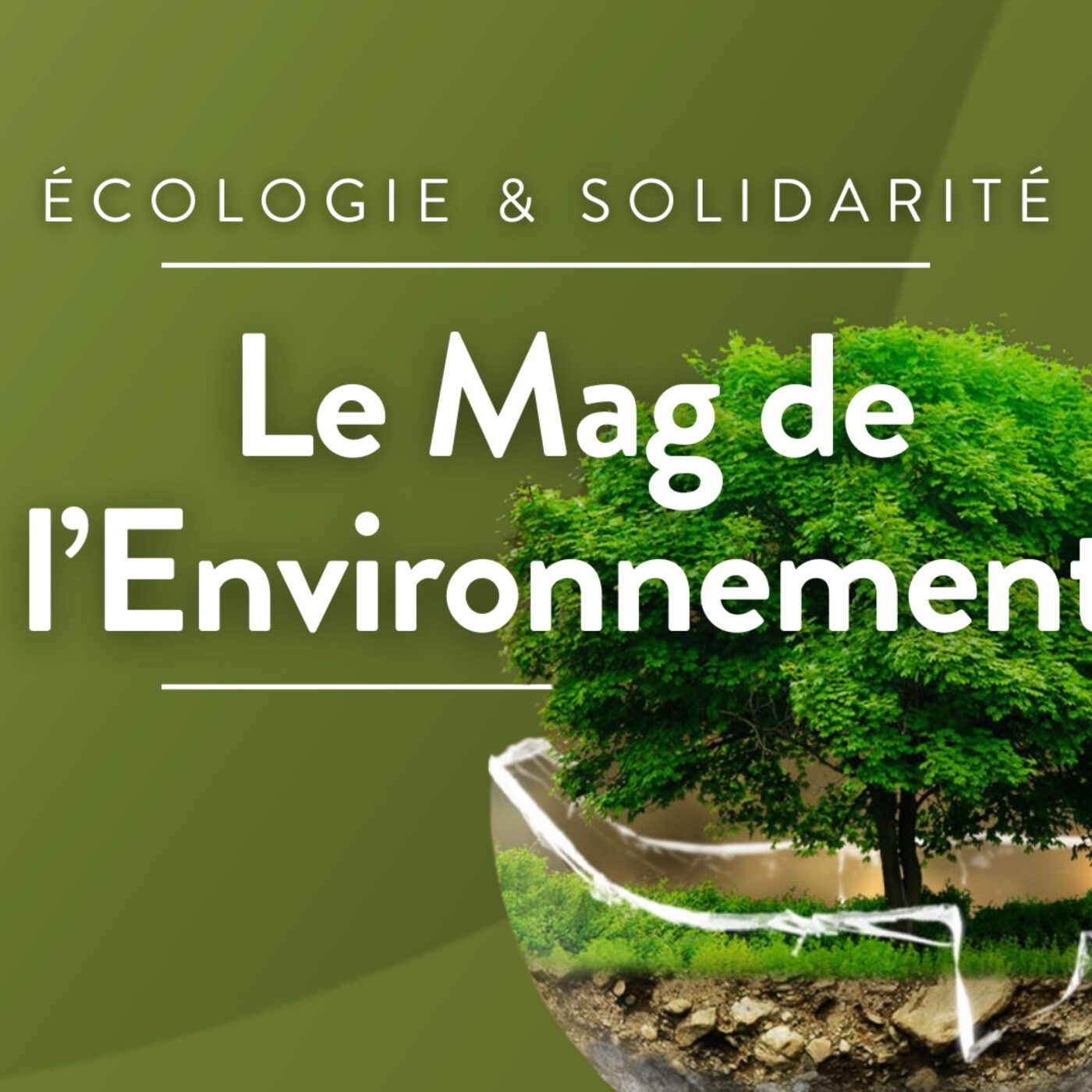 Le Mag de l\'Environnement